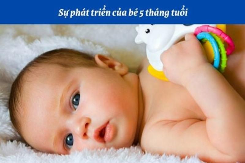 Hình ảnh minh họa tư thế cho mèo con bú sữa đúng cách, nằm sấp trên khăn